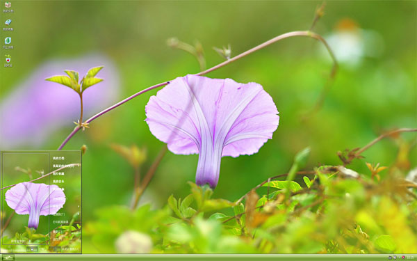  ��ɫǣţ��Win8����