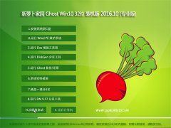 ܲ԰Ghost Win10 X32 »װ漫(⼤)