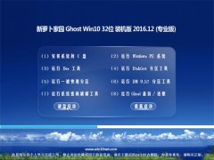 ܲ԰Ghost Win10 X32 ȫͨðV2016.12()