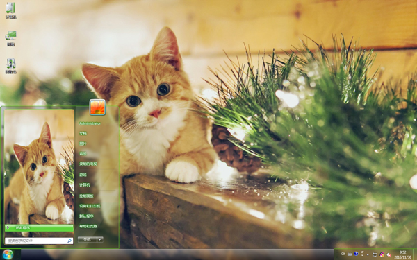 ���ȵĻ�ɫСè��W8����