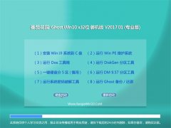 ѻ԰Ghost Win10 x32 װ2017v01(⼤)