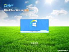 ľGhost Win10x86 ȶרҵ 2019v02()