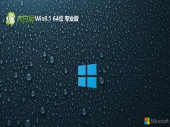 <font color='#990000'>ײwin8.1⼤64λҵv2023.02</font>