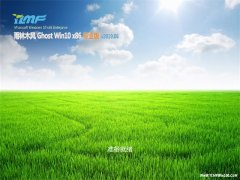 ľGhost Win10x86 ȶרҵ 2019.06()